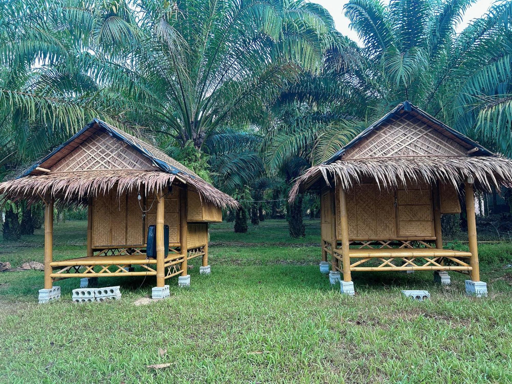 Khaosok August Freedom Camp Hotel Khao Sok National Park Exterior foto