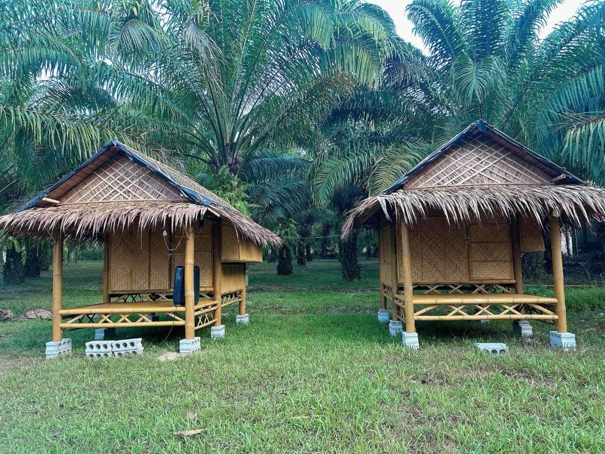 Khaosok August Freedom Camp Hotel Khao Sok National Park Exterior foto